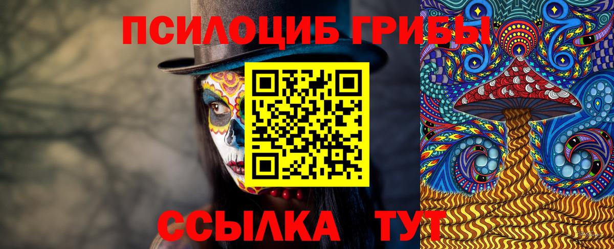 Псилоцибиновые грибы мицелий Арсеньев